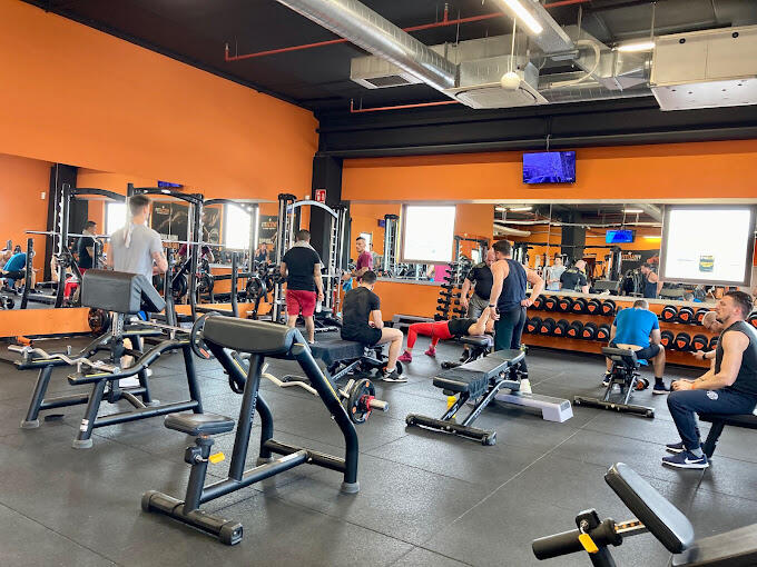 La palestra in cui lavoro